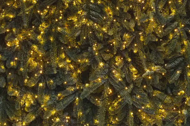 Photo of Texture of wall decorated with shining garlands lights and green pine fir branches, Christmas decorations background illuminated in evening