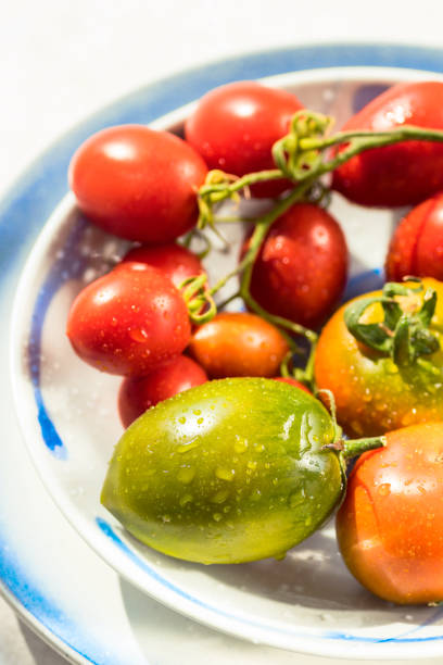 Plate with colorful and different kinds of tomatoes in bright sunlight. Italian Ingredients