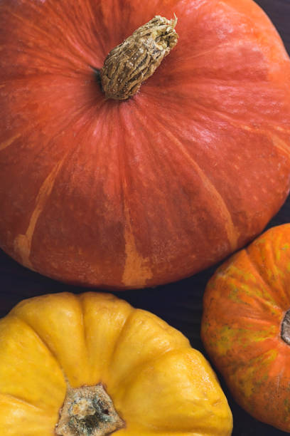 istock Close-up of multi-colored pumpkins, top view.  Thanksgiving vertical background 886244130