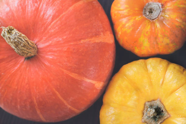 istock Close-up of multi-colored pumpkins, top view. Thanksgiving vertical background 886244140