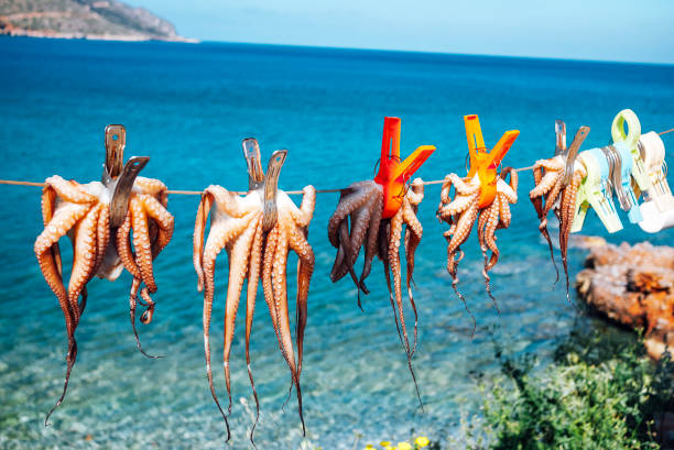 太陽の下 - クレタ島でタコを乾燥 - クレタ島 ストックフォトと画像