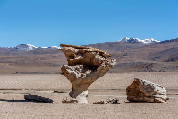 istock Stone Tree or Stone tree, Altiplano, Bolivia 886247048