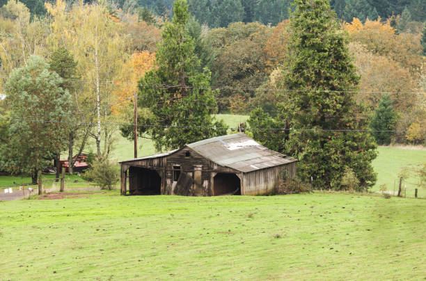 istock Old Farm Building in Green Landscape 886271632