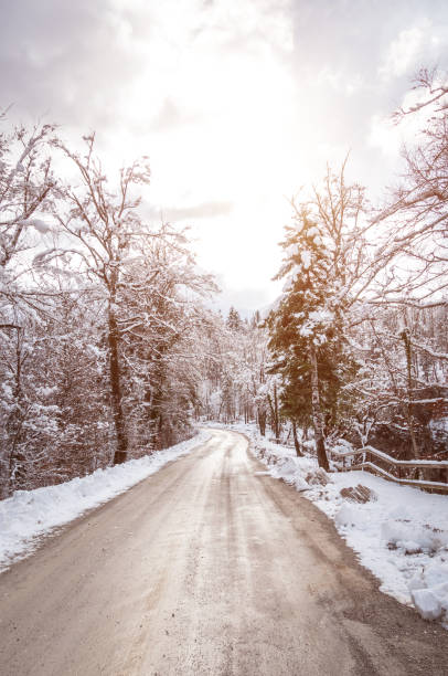 istock Snow covered road in the winter forest. 886287628