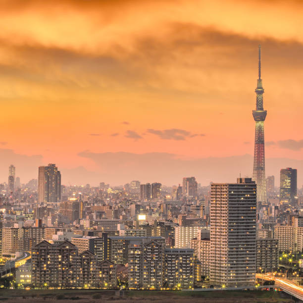 istock Tokyo city skyline at sunset 886295016