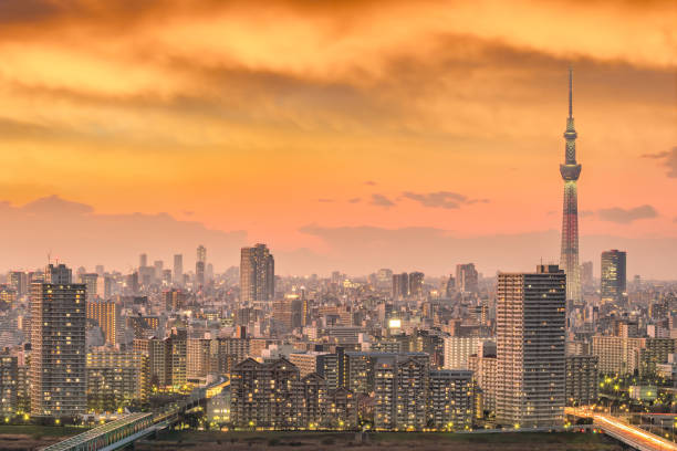 istock Tokyo city skyline at sunset 886295528