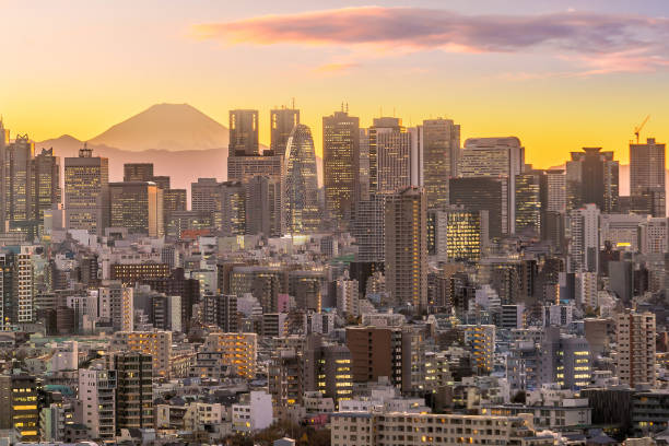 istock Tokyo skyline and Mountain fuji 886295612