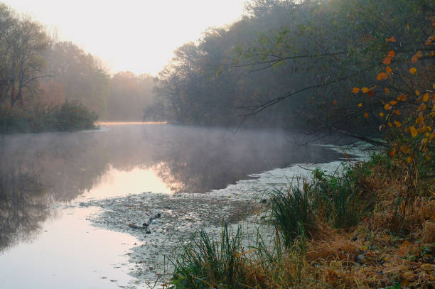 istock River landscape and autumn wood 886297548