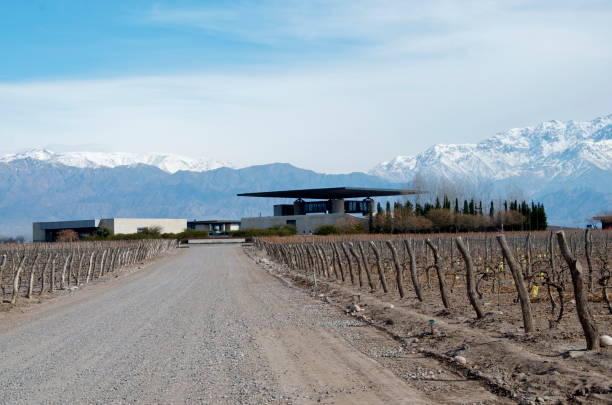 Winery in Mendonza Argentina The Andes sets a beautiful background to this winery in Mendonza, Argentina. argentina nature andes autumn stock pictures, royalty-free photos & images