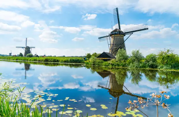 Windmills across and reflected in water in Kinderdijk district popular tourist destination with it's scenic fields, dykes, ponds, canals and windmills near Rotterdam, Holland.
