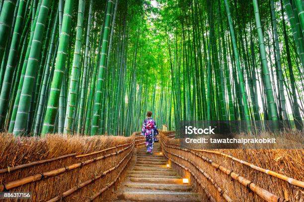 Photo libre de droit de Forêt De Bambous Asiatique Femme Portant Des Kimonos Traditionnels Japonais À La Forêt De Bambous À Kyoto Au Japon banque d'images et plus d'images libres de droit de Japon