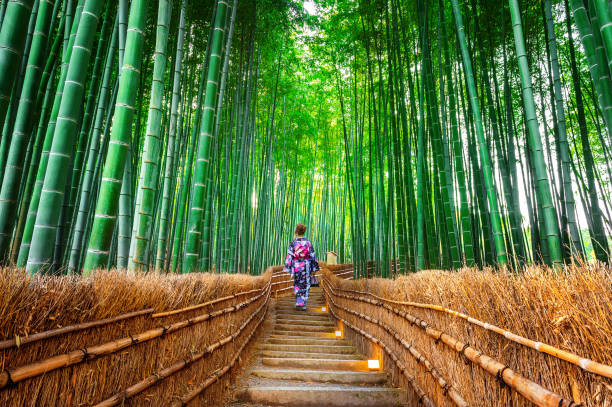 бамбуковый лес. азиатка носит японское традиционное кимоно в бамбуковом лесу в киото, япония. - japan стоковые фото и изображения