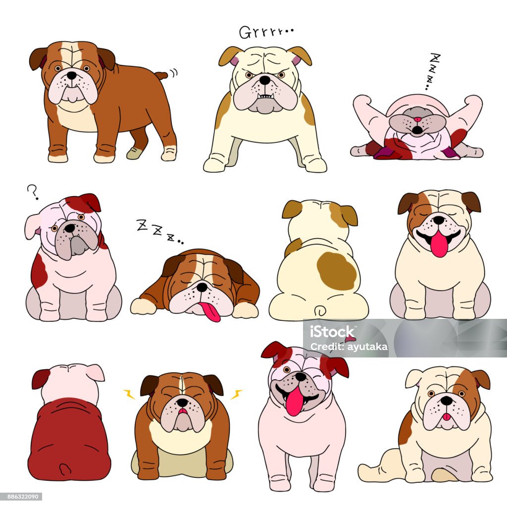 bulldog elements set with outlines bulldog elements set with outlines. Anger stock vector