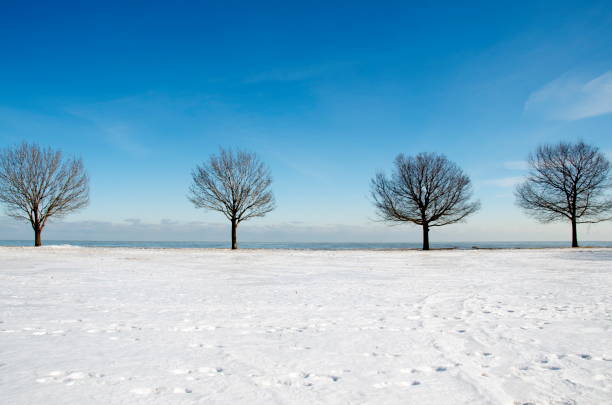 winter in chicago - lake michigan sun sunlight nature imagens e fotografias de stock