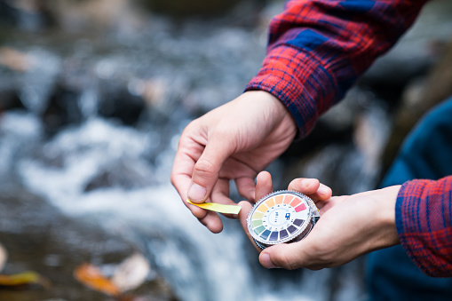 Checking the acidity and alkaline levels of river water with litmus paper