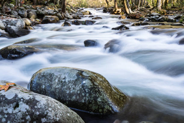 слияние ветвей реки в великих дымчатых горах - north carolina mountain river autumn стоковые фото и изображения