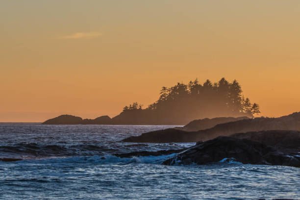 istock Tofino Pacific Rim National Park 886351862