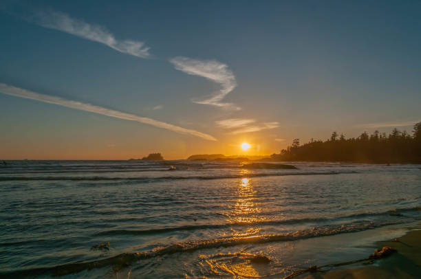 istock Tofino Pacific Rim National Park 886351902