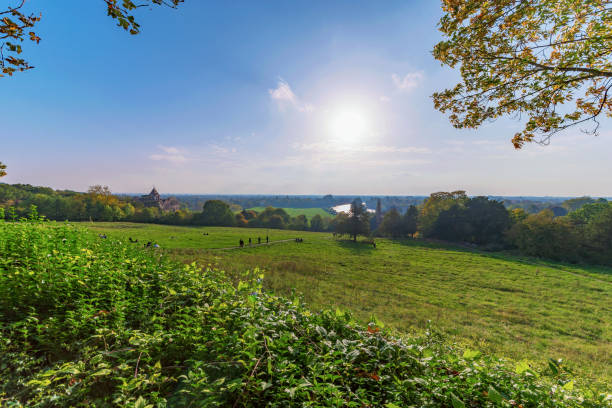 Richmond park on a sunny day Richmond park on a sunny day in London richmond park stock pictures, royalty-free photos & images