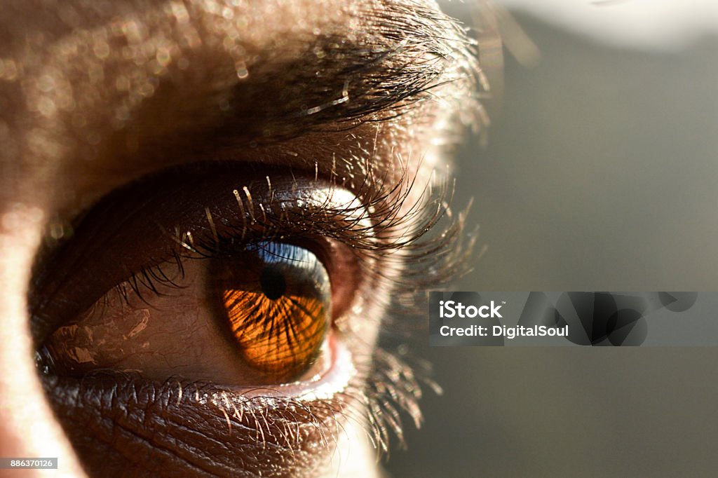 Closeup of man eye Closeup of man eye-India Eye Stock Photo