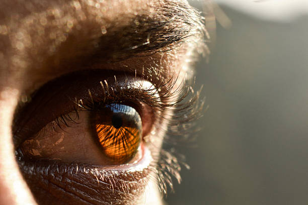 крупным планом человека глаз - eyeball iris human eye macro стоковые фото и изображения