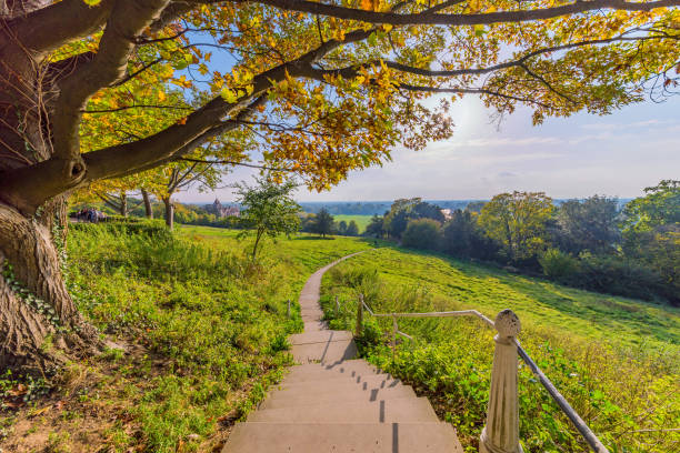 Scenic view of Richmond park walking path stock photo