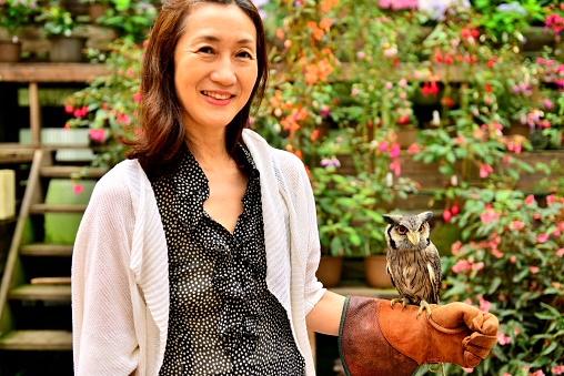 Japanese woman is holding a northern white-faced owl, named Pon-chan, at Fuji Kachoen (Flowers & Birds) Garden Park, Fujinomiya City, Shizuoka Prefecture.
