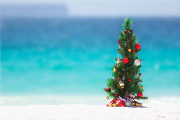 Decorated Christmas Tree on pretty beach with copy space stock photo