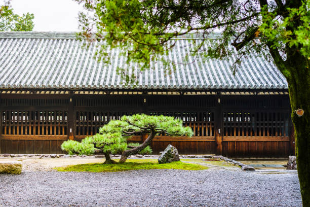 Beautiful small tree in japan garden style.