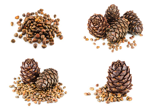 Set, collage of ripe cedar cones and pine nuts on a white background