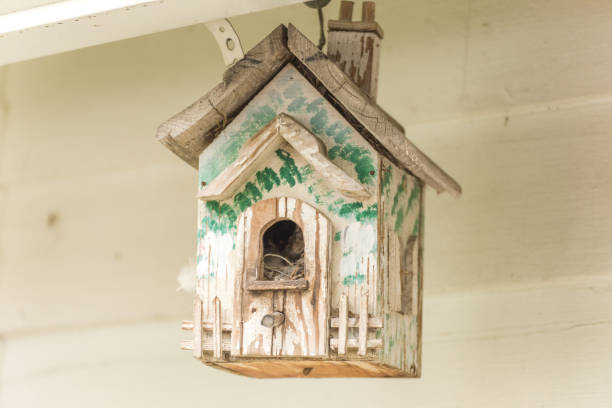 istock White and Green Bird House 886448158