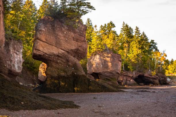 istock Hopewell Rocks at Low Tide 886494886