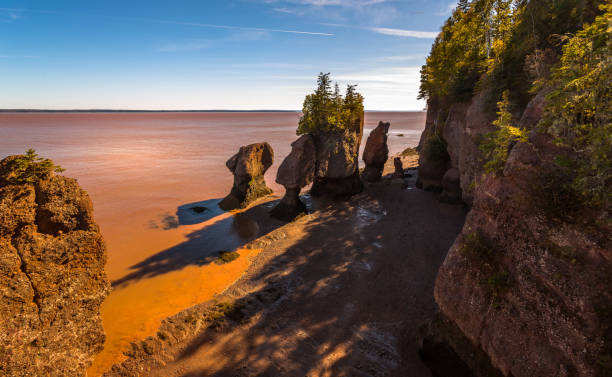 istock Hopewell Rocks at Low Tide 886499248