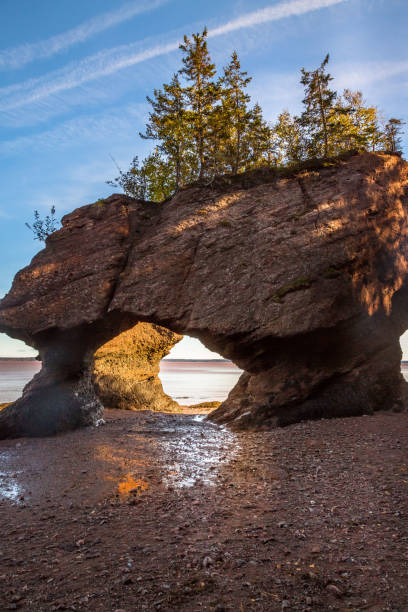 istock Hopewell Rocks at Low Tide 886499250