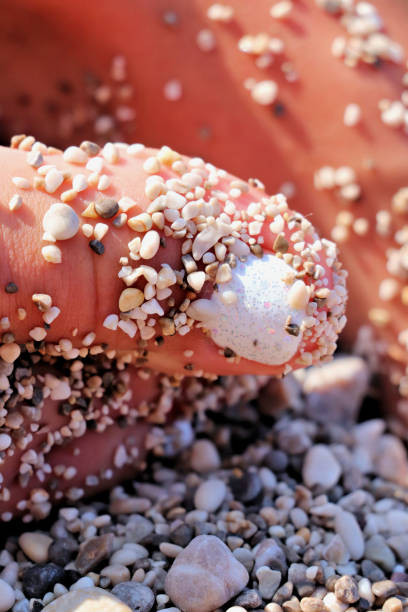 istock colored toe finger close up on a beach 886499674