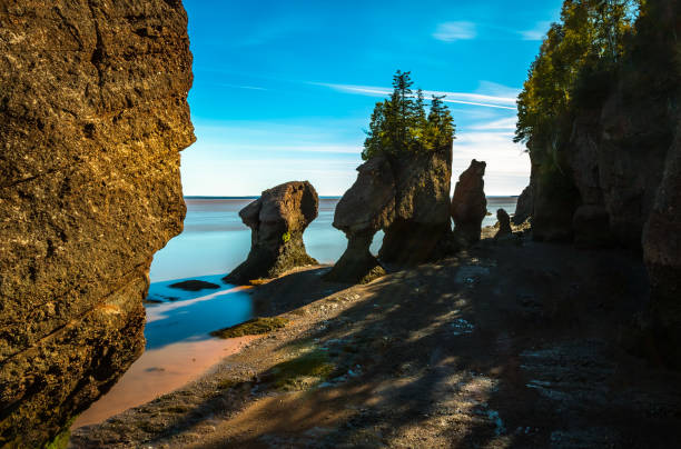 istock Hopewell Rocks at Low Tide 886499764