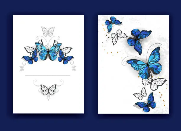 Vector illustration of brochure design with butterflies morpho