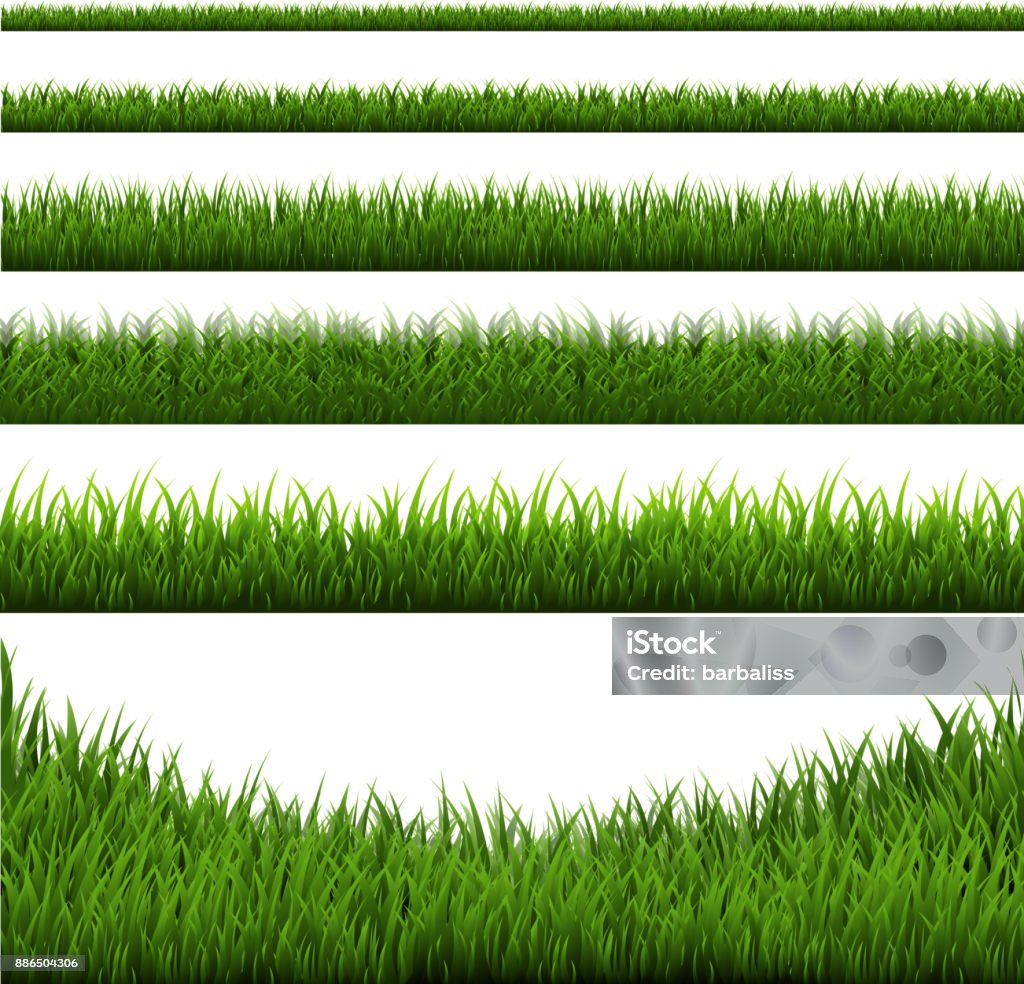 Grass Border Set Grass Border Set, Vector Illustration Grass stock vector