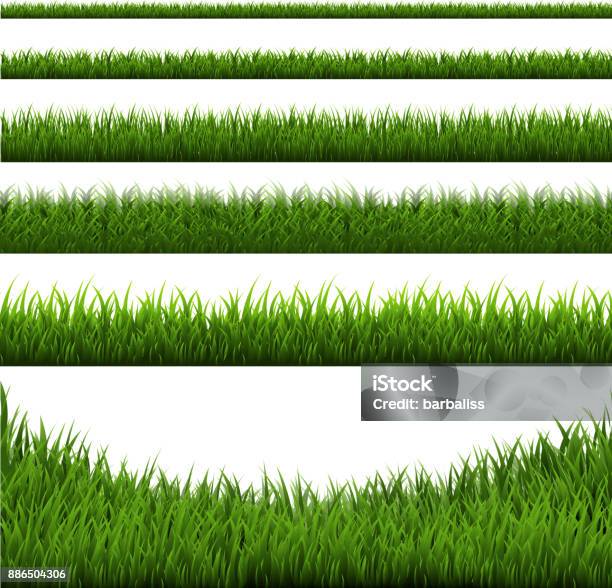 Grass Border Set Stock Illustration - Download Image Now - Grass, Border - Frame, Vector