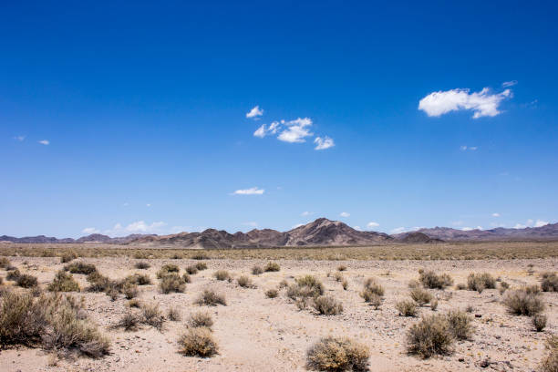 istock Death Valley, California 886504308