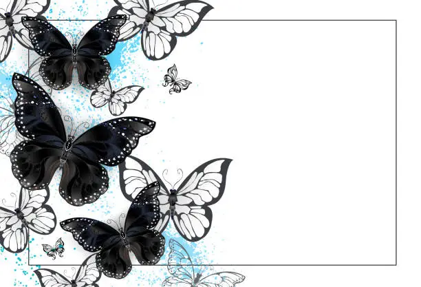 Vector illustration of Background with black butterflies