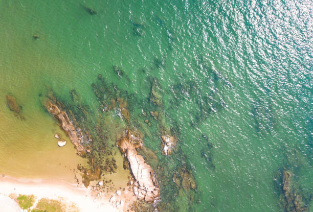 istock Top view of sea beach background 886514742