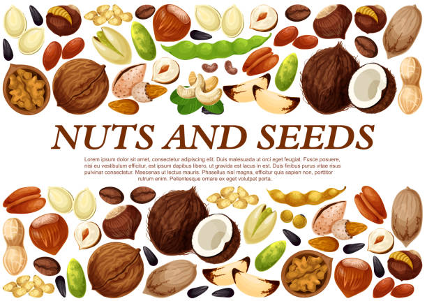 견과류와 과일 씨앗의 벡터 포스터 - nut spice peanut almond stock illustrations