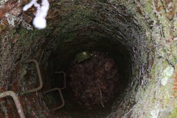 Photo of The old abandoned well in the depths of the autumn forest is covered with fallen leaves and covered with green moss