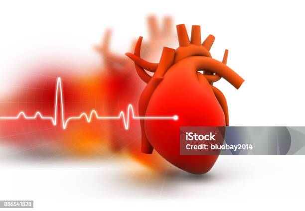 Human Heart Stock Photo - Download Image Now - Electrocardiography, Healthcare And Medicine, Illness