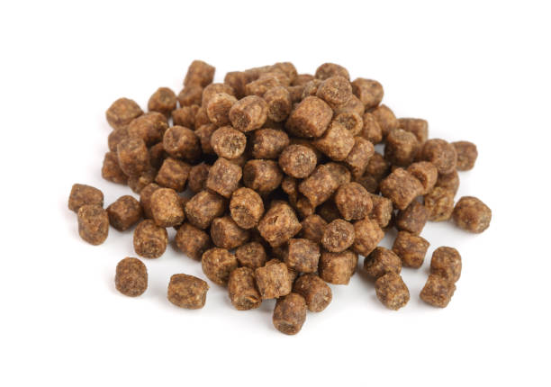 istock dry cat food isolated on white background 886558198