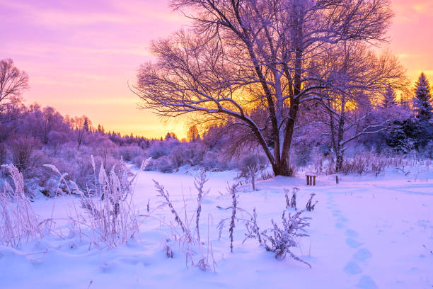 istock winter landscape with forest, trees and sunrise 886564742