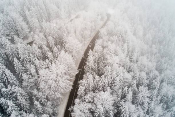 Photo of Aerial drone view on foggy winter road