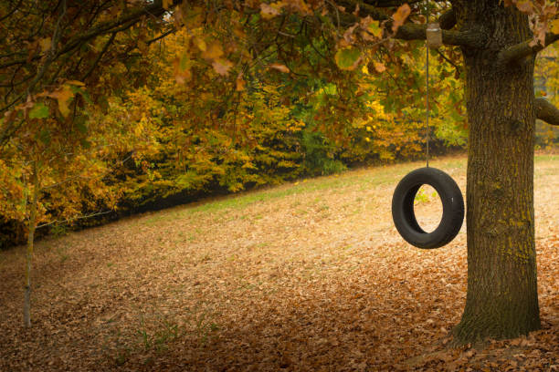 Autumnal garden scenery with tyre swing. Perfect seasonal background, with copy space.