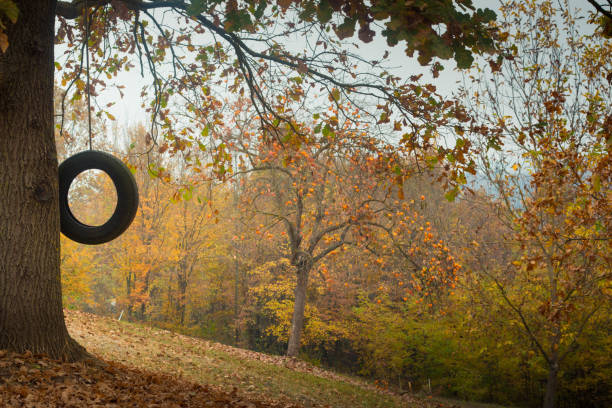 Autumnal scenery with tyre swing. Autumnal garden scenery with tyre swing. Perfect seasonal background, with copy space. tire swing stock pictures, royalty-free photos & images